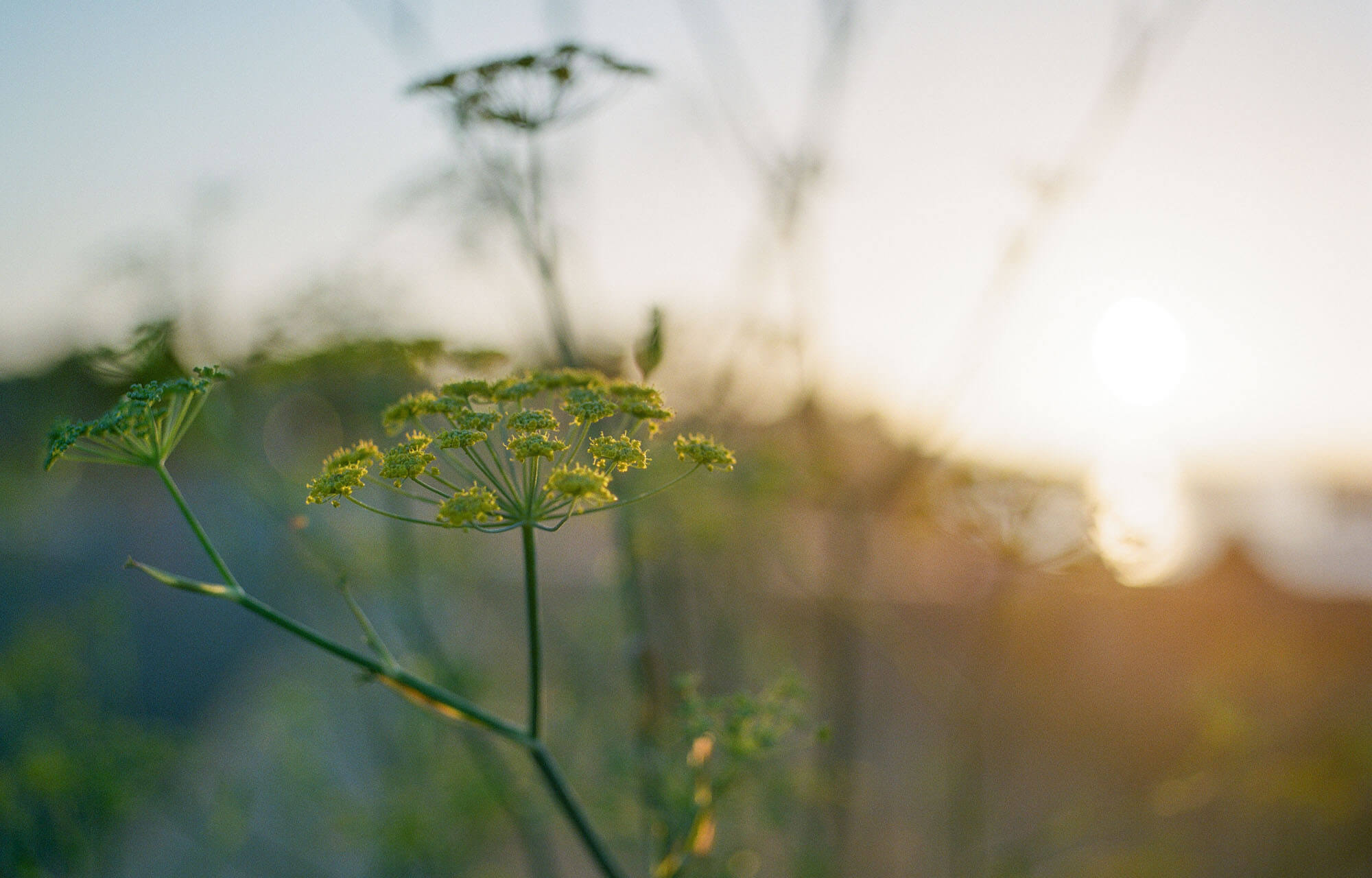 Warme lichte sfeerfoto